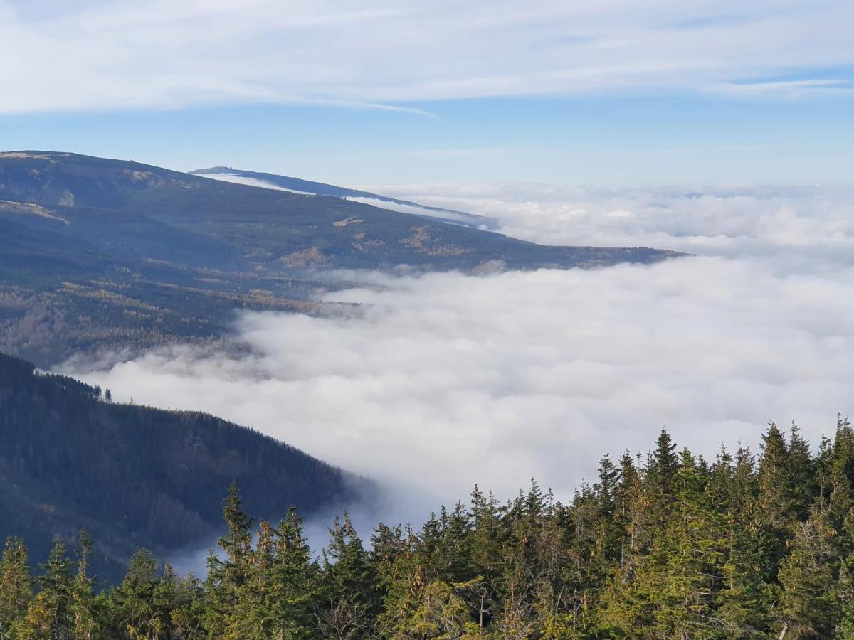 Apartament W Karkonoszach Lägenhet Kowary Exteriör bild
